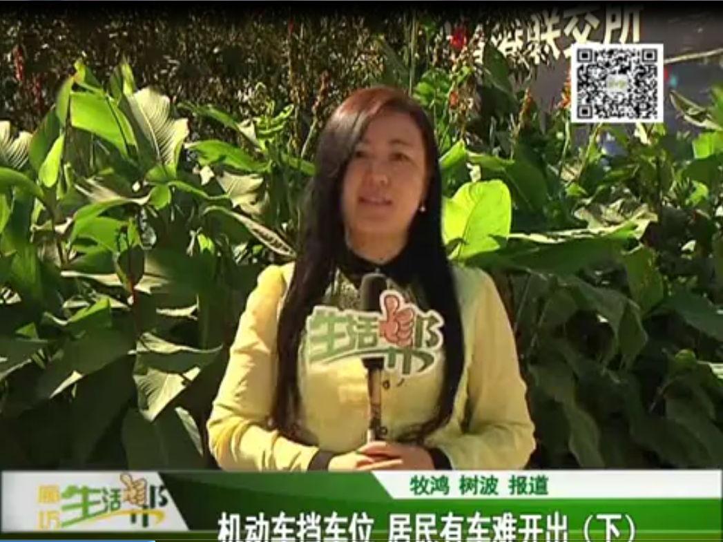 機(jī)動車擋車位 居民有車難開出(下）