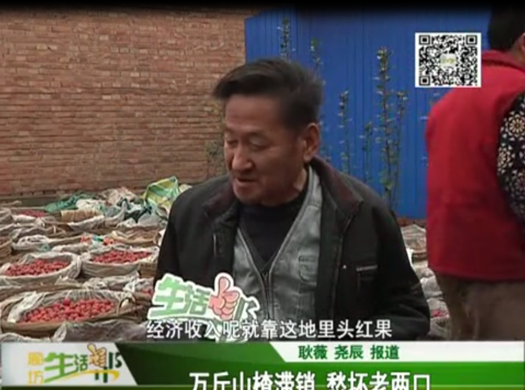 萬(wàn)斤山楂滯銷 愁壞老兩口
