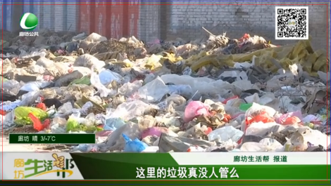 這里的垃圾真的沒人管嗎？