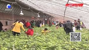 我市深入推進美麗鄉(xiāng)村建設