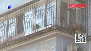 空中墜物業(yè)主車被砸 萬元修理費(fèi)到底該誰出