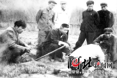 【塞罕壩人物志】王尚海：塞罕壩上“一棵松”