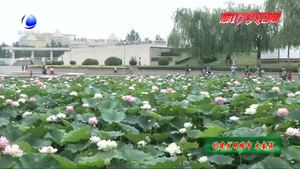 創(chuàng)城大家談：共同維護城市環(huán)境 齊心共創(chuàng)文明城