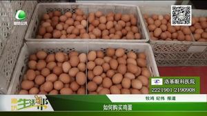 如何購(gòu)買雞蛋