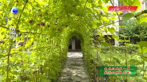 吉興社區(qū)居民積極建言獻策 多管齊下共建文明社區(qū)