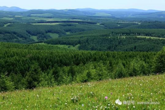 習(xí)總牽掛的塞罕壩，你去過嗎？小組剛?cè)ミ^！