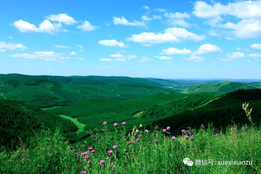 習(xí)總牽掛的塞罕壩，你去過嗎？小組剛?cè)ミ^！