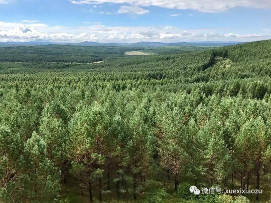 習(xí)總牽掛的塞罕壩，你去過嗎？小組剛?cè)ミ^！