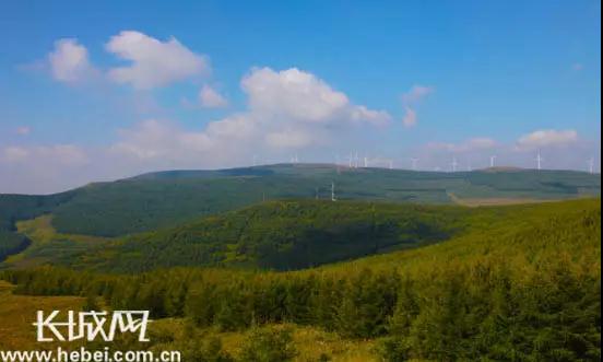 風(fēng)、沙、冷、山……塞北林場艱苦創(chuàng)業(yè)不簡單！