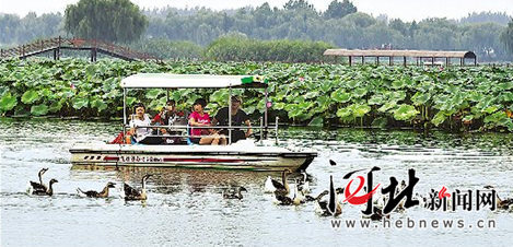 【砥礪奮進的五年·瞰河北③】大地明珠