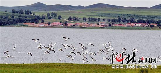 【砥礪奮進的五年·瞰河北③】大地明珠