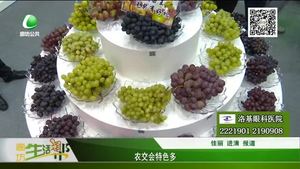 農(nóng)交會特色多