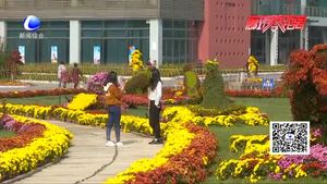 賞花不摘花 文明游客成最美風景