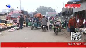 秋菜市場“遇冷”“老三樣”量足質優(yōu)卻“賣不動”