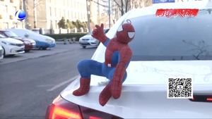 車頂貼掛玩偶“很拉風”？交警提示：有安全隱患