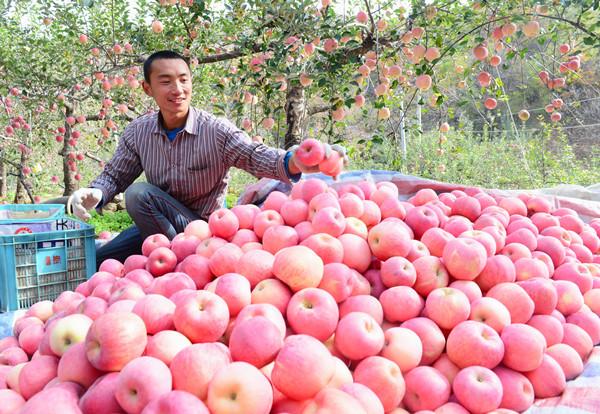 河北5家企業(yè)躋身第三批國(guó)家林業(yè)重點(diǎn)龍頭企業(yè)