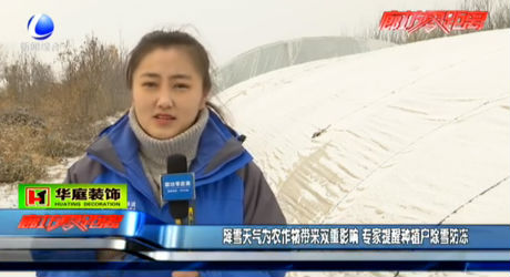 降雪天氣為農(nóng)作物帶來雙重影響