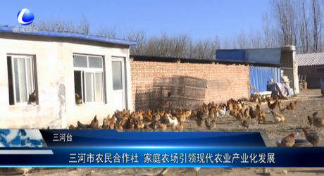 三河市農(nóng)民合作社 家庭農(nóng)場(chǎng)引領(lǐng)現(xiàn)代農(nóng)業(yè)產(chǎn)業(yè)化發(fā)展