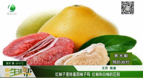 紅柚子是轉(zhuǎn)基因柚子嗎 紅柚和白柚的區(qū)別