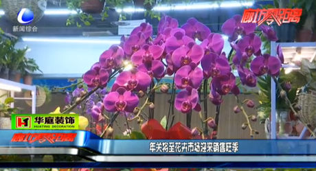 年關(guān)將至花卉市場(chǎng)迎來(lái)銷售旺季