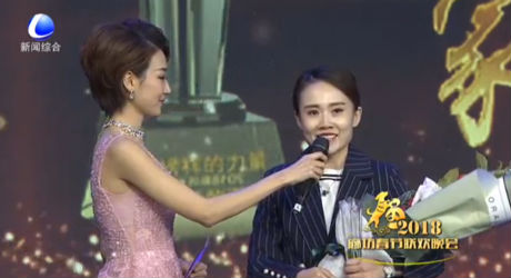 2018廊坊春節(jié)聯(lián)歡晚會(huì)—廊坊好故事講述者頒獎(jiǎng)