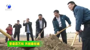 我市各地迅速掀起春季造林綠化高潮