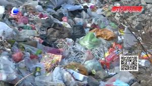 大馬房村黨支部書記就垃圾成堆 農(nóng)民種地難作出回應(yīng)