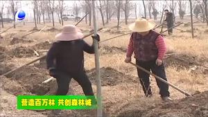 我市各地開(kāi)展春季植樹(shù)造林活動(dòng)
