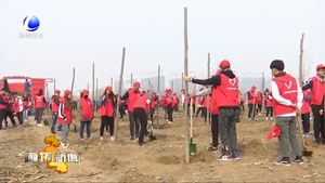 我市各地開展春季義務(wù)植樹活動(dòng)