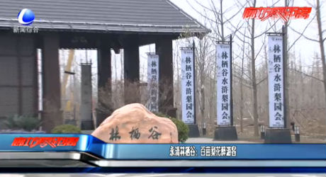 永清林棲谷：百畝梨花醉游客