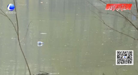 文明是最美的風(fēng)景 游園請(qǐng)帶上文明