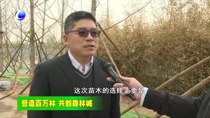 我市各地持續(xù)開(kāi)展春季造林綠化工作