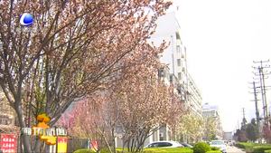 本周我市以晴到多云天氣為主 氣溫波動(dòng)較大