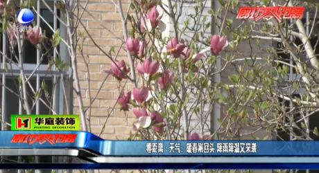 暖春別回頭 降雨降溫又來(lái)襲