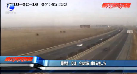 交通：分心駕駛 瞬間車毀人傷