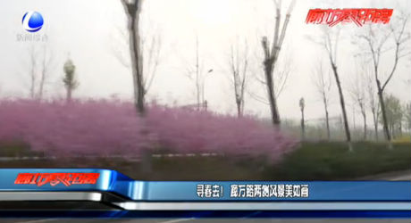 尋春去！廊萬(wàn)路兩側(cè)風(fēng)景美如畫