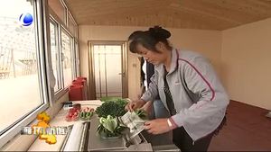 固安縣：吸引京津游客 農(nóng)旅融合助力鄉(xiāng)村振興