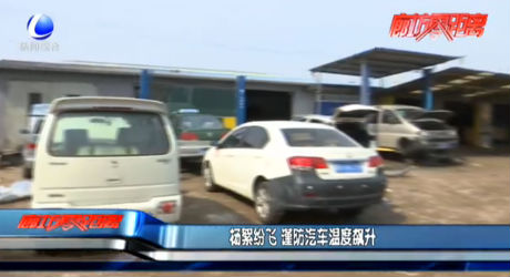 楊絮紛飛 謹防汽車溫度飆升