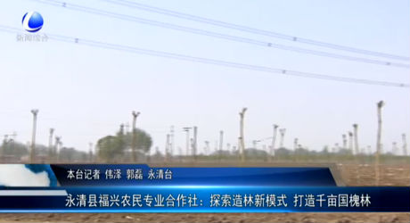 永清縣福興農(nóng)民專業(yè)合作社