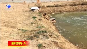霸州市民警奮不顧身勇救落水兒童