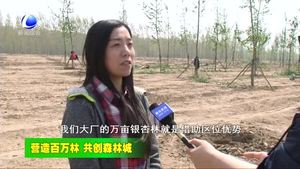 大廠縣強力打造環(huán)北京周邊萬畝銀杏林
