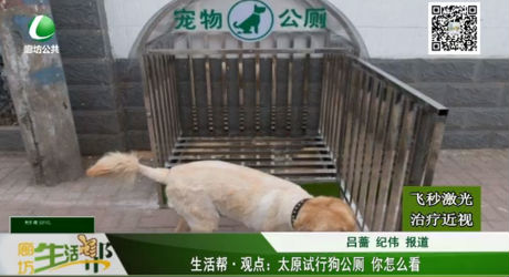 太原試行狗公廁 你怎么看