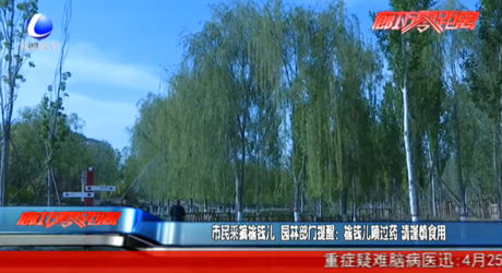 市民采摘榆錢兒 提醒：噴過藥 請謹慎食用