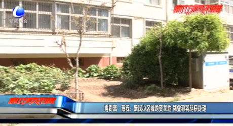 新民小區(qū)綠地變菜地 物業(yè)稱(chēng)將盡快處理