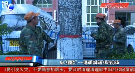 市園林局治理?xiàng)盍w絮污染見(jiàn)成效