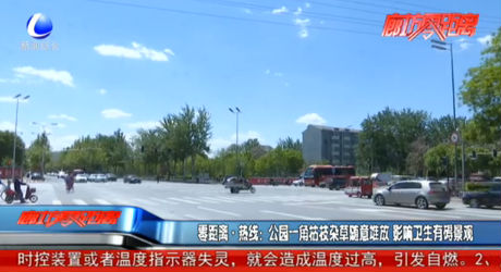 公園一角枯枝雜草隨意堆放影響衛(wèi)生有礙景觀