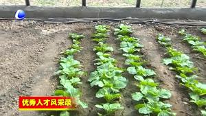 劉君：利用農(nóng)業(yè)信息化技術(shù) 提升為農(nóng)服務(wù)水平