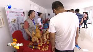 廊坊市“特色文化產(chǎn)品”走進(jìn)第什里風(fēng)箏節(jié)