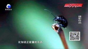 ”我眼中最美的春光“攝影大賽圓滿(mǎn)落幕