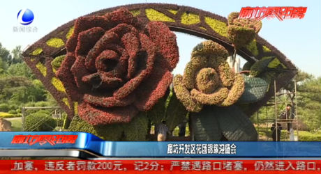 廊坊開發(fā)區(qū)花團(tuán)錦簇迎盛會